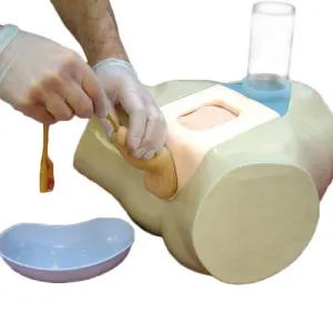 3B Scientific Male Uretheral/Suprapubic Catheterization Trainer
