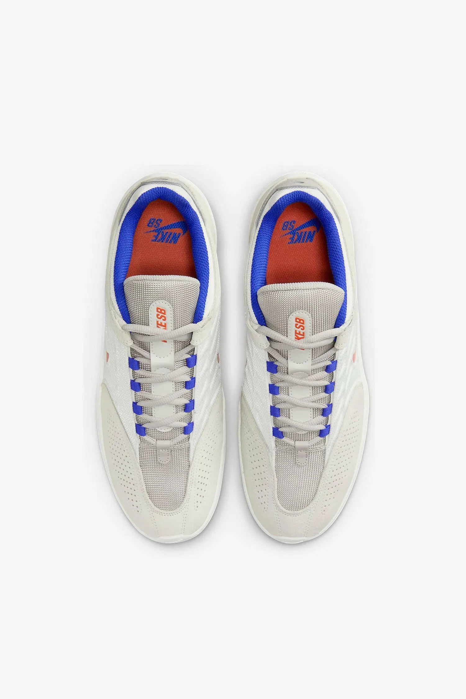Vertebrae "Knicks"
